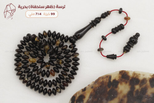 ترسة (ظهر سلحفاة بحرية) ذروي