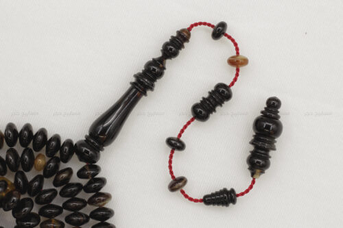 ترسة (ظهر سلحفاة بحرية) ذروي