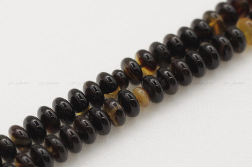 ترسة (ظهر سلحفاة بحرية) ذروي