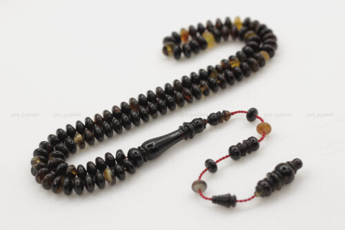 ترسة (ظهر سلحفاة بحرية) ذروي