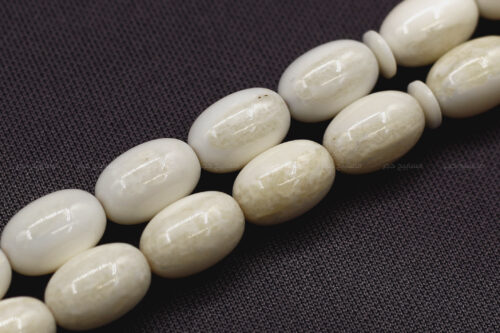 عاج حيوان الفظ Walrus ivory