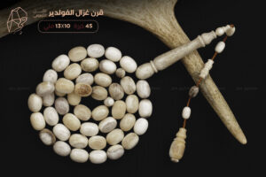 قرن غزال الفولدير (الأيل الأوروبي)