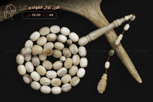 قرن غزال الفولدير (الأيل الأوروبي)