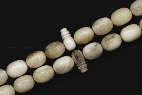 قرن غزال الفولدير (الأيل الأوروبي)