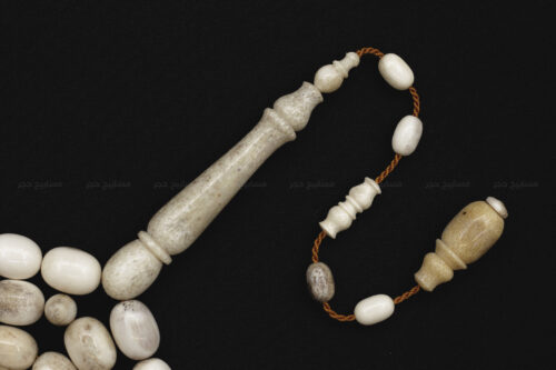 قرن غزال الفولدير (الأيل الأوروبي)