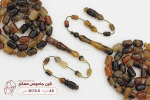 قرن جاموس معالج (شبيه الترسة)