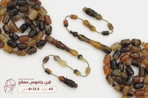 قرن جاموس معالج (شبيه الترسة)