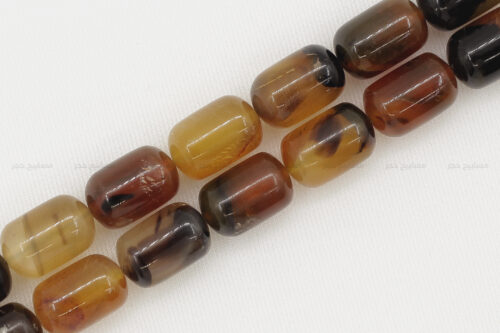 قرن جاموس معالج (شبيه الترسة)