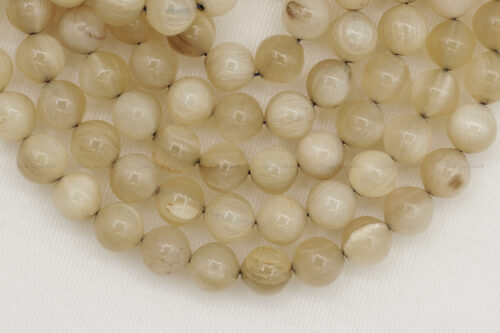 قرن ضأن بكركوشة تفصال