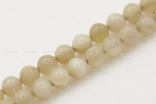 قرن ضأن بكركوشة تفصال