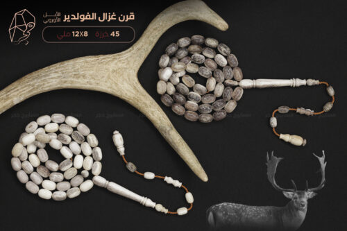 قرن غزال الفولدير (الأيل الأوروبي) حجم ناعم