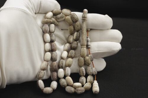 قرن غزال الفولدير (الأيل الأوروبي) حجم ناعم