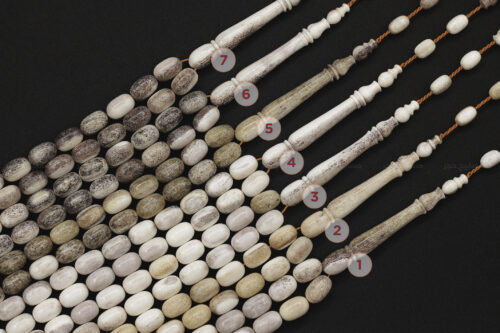 قرن غزال الفولدير (الأيل الأوروبي) حجم ناعم