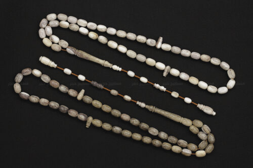 قرن غزال الفولدير (الأيل الأوروبي) حجم ناعم