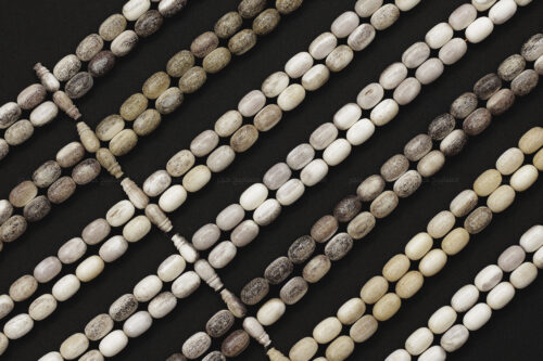 قرن غزال الفولدير (الأيل الأوروبي) حجم ناعم