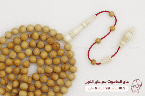 عاج الماموث المنقرض (حجم ناعم)