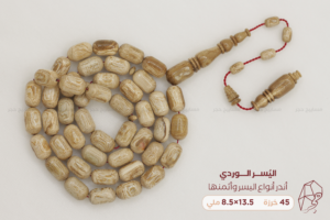 يسر وردي (المرجان البحري) من أندر أنواع اليسر