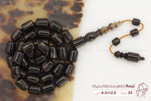 ترسة (ظهر سلحفاة) بحرية
