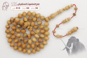 عاج الماموث المنقرض
