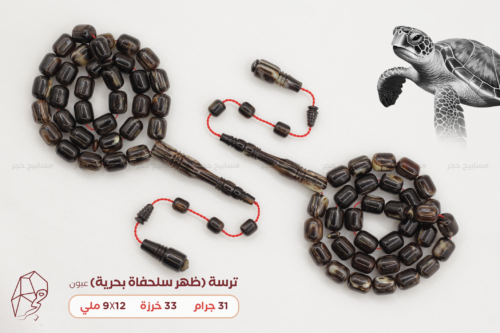 ترسة (ظهر سلحفاة بحرية) عيون