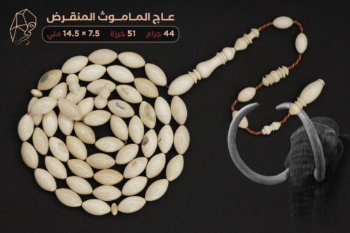 عاج الماموث المنقرض