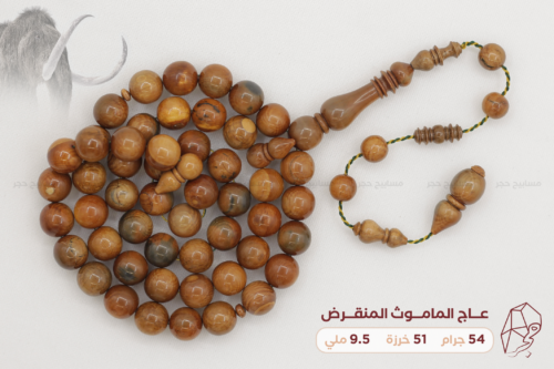 1 copy عاج الماموث المنقرض