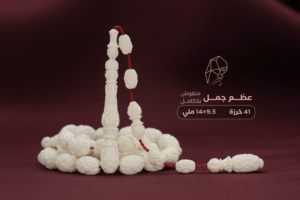 عظم جمل منقوش بالكامل