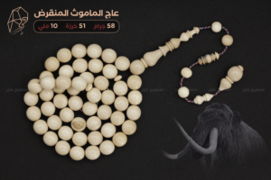 عاج الماموث المنقرض