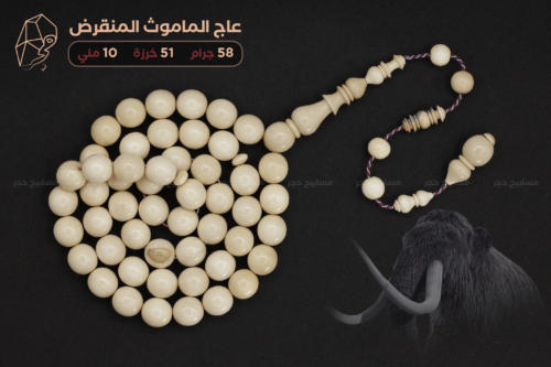 عاج الماموث المنقرض