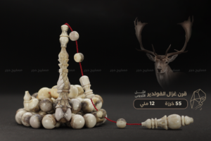 قرن غزال الفولدير (الأيل الأوروبي) حجم راهي
