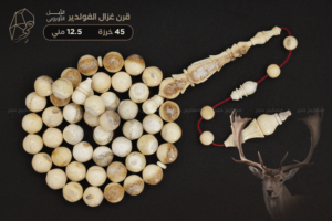 قرن غزال الفولدير (الأيل الأوروبي) حجم راهي