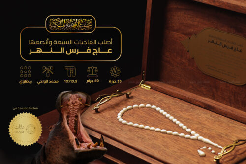 عاج فرس النهر (أصلب العاجيات السبعة وأنصعها)