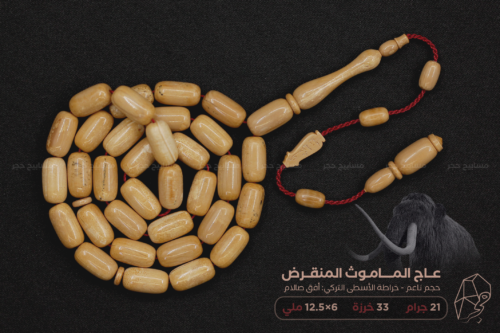 عاج الماموث المنقرض - خراطة الخراط التركي: أفق صالام