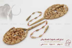 عاج الماموث المنقرض - خراطة الخراط التركي: أفق صالام