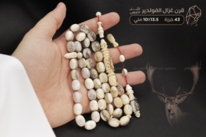 قرن غزال الفولدير (الأيل الأوروبي) طقم منقوش