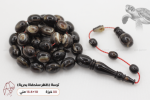 ترسة (ظهر سلحفاة بحرية)