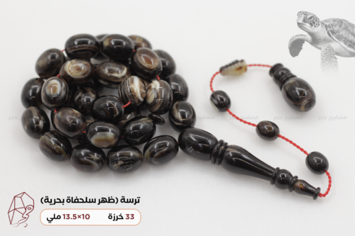 ترسة (ظهر سلحفاة بحرية)
