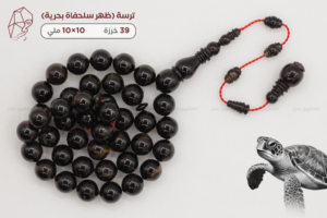 ترسة (ظهر سلحفاة بحرية)