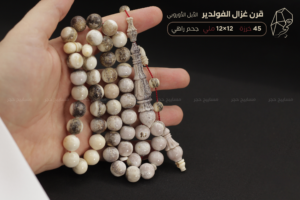 قرن غزال الفولدير (الأيل الأوروبي) حجم راهي