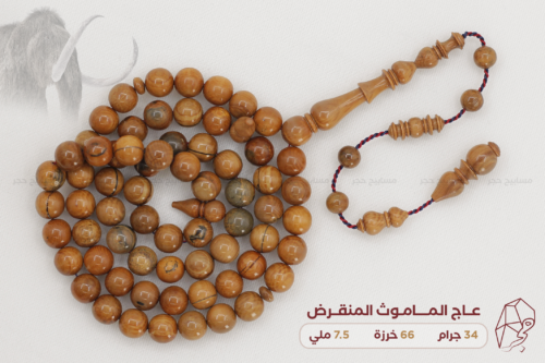 عاج الماموث المنقرض