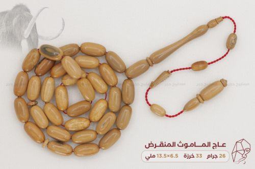 عاج الماموث المنقرض - خراطة الخراط التركي: أفق صالام