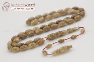 يسر وردي (المرجان البحري) من أندر أنواع اليسر