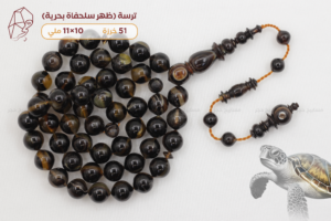 ترسة (ظهر سلحفاة بحرية) عيون