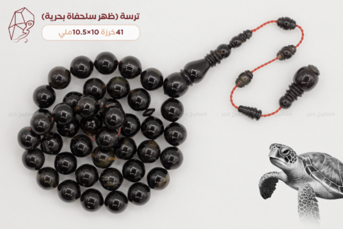 ترسة (ظهر سلحفاة بحرية)