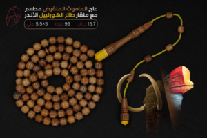 منقار طائر الهورنبيل الأندر مع عاج الماموث المنقرض