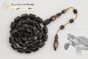 ترسة (ظهر سلحفاة بحرية) عيون