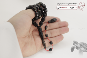 ترسة (ظهر سلحفاة بحرية)