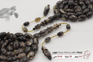 ترسة (ظهر سلحفاة بحرية) عيون
