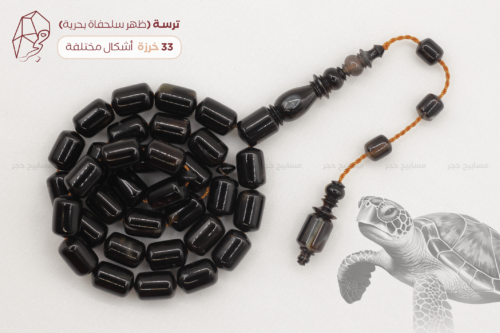 ترسة (ظهر سلحفاة بحرية)
