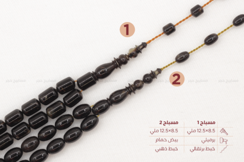 ترسة (ظهر سلحفاة بحرية)